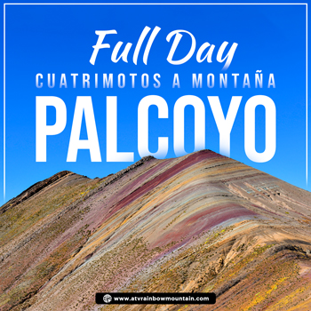 Store | palcoyo-en-cuatrimotos<h1>