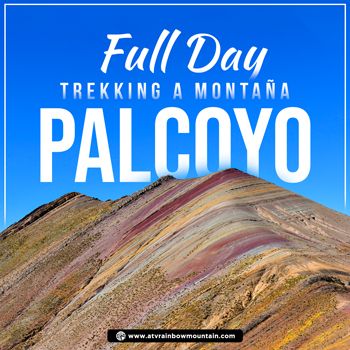 Store | palcoyo-cusco-trekking<h1>