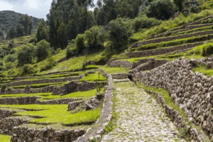 Half-Day Inkilltambo Hike in Cusco – Inca Trails, Scenic Views, and Acclimatization Experience