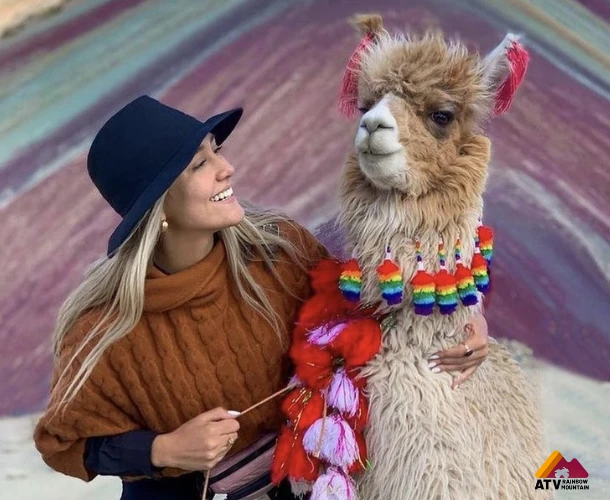 Recuerdos Andinos: Cultura y Fauna Local