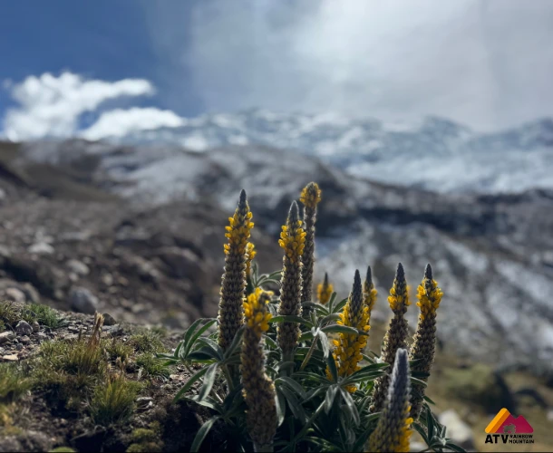 Lagunas Glaciares de Colores Turquesa