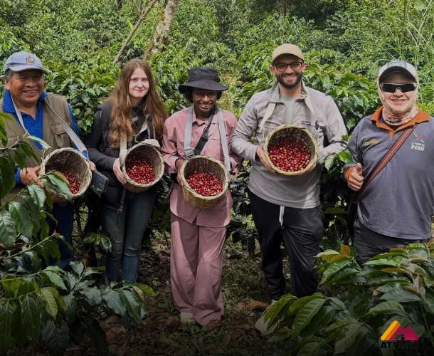 Direct Harvest in the Cusco Jungle