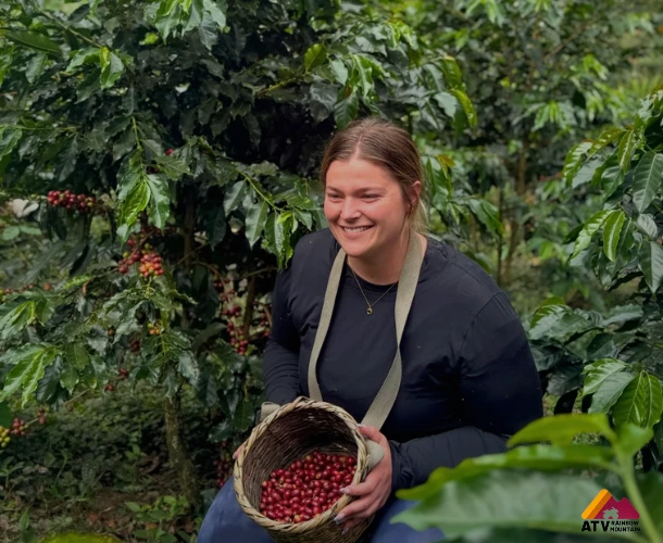 Connecting with Sustainable Coffee Cultivation