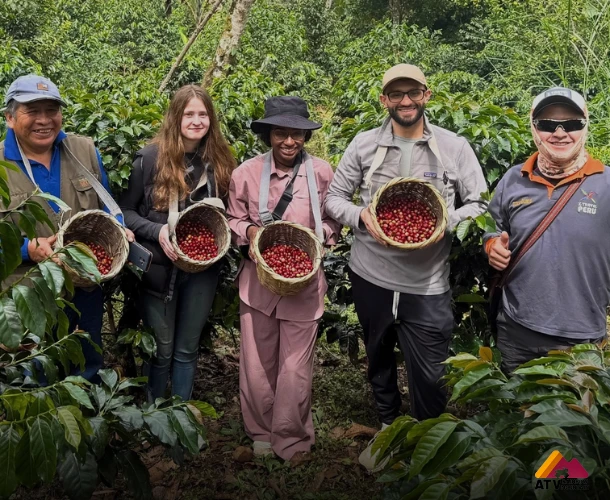 Experiencia de Cosecha en la Selva Alta