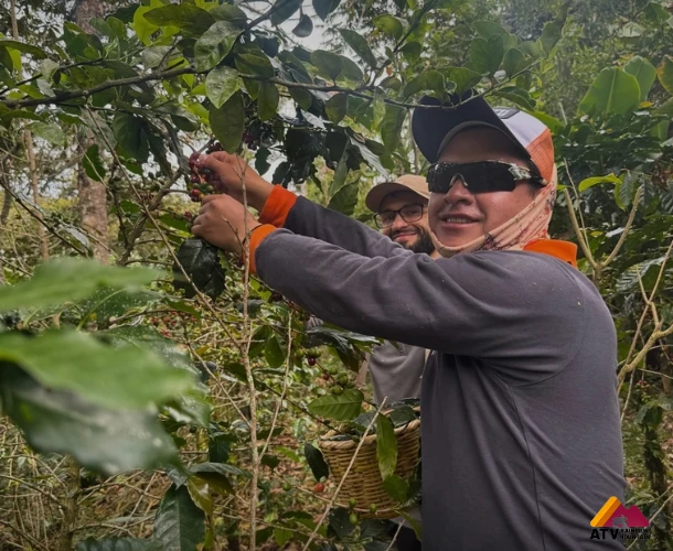 Immersion in Organic Plantations