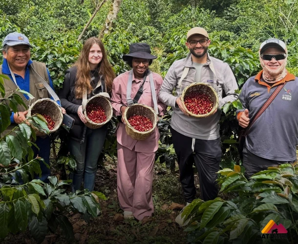 The Artisan Harvest of the Flavors