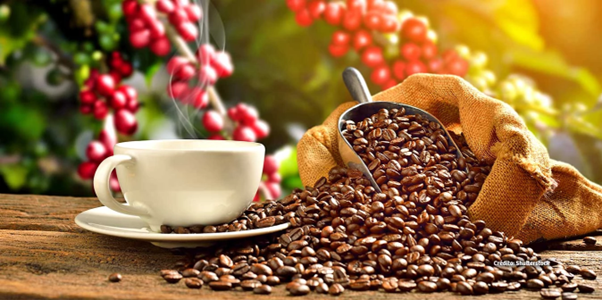 Coffee, Tea and Chocolate Tour – Ancestral Flavors in 2 Days