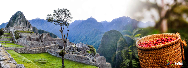 Ruta Café y Machu Picchu – Mapa de Aromas, Historia y Aventura
