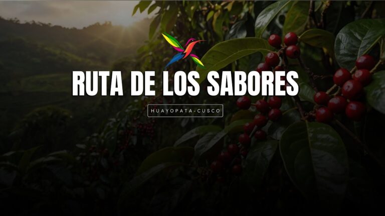 Premium Coffee Route – Experience the Flavor in a Day